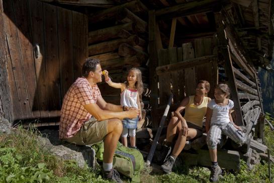 Hôtel Alpenkönigin 12