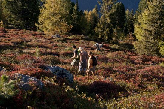 Hôtel Alpenkönigin 15