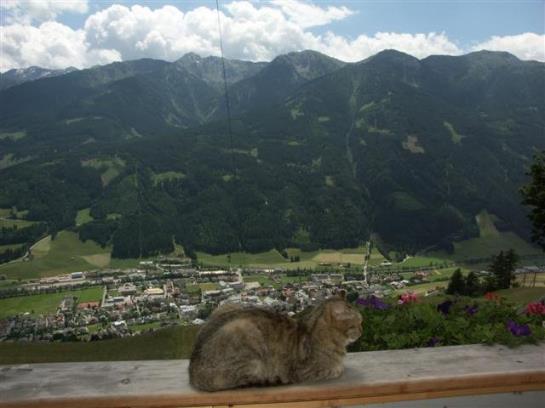 Bauernhof Schuistlhof