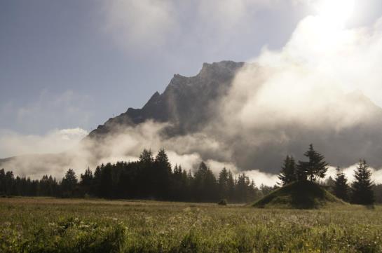 Hotel Zum Goldenen Löwen 4