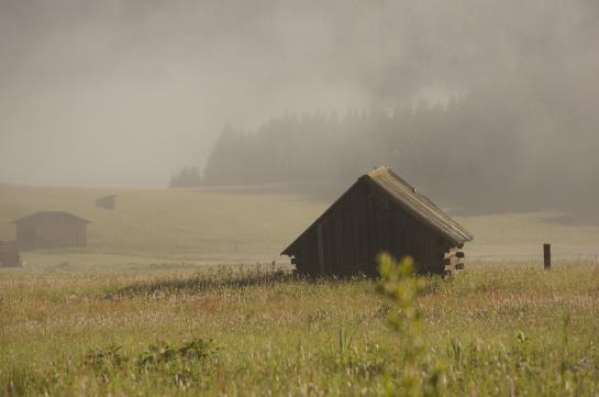 Hotel Zum Goldenen Löwen 7