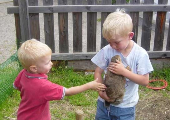 Bauernhof Elsenhof 1