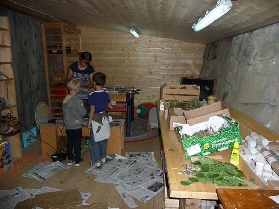 Bauernhof Elsenhof 10