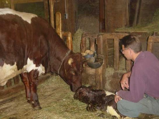 Bauernhof Elsenhof 12