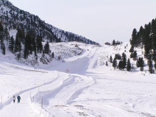 Bauernhof Elsenhof 14