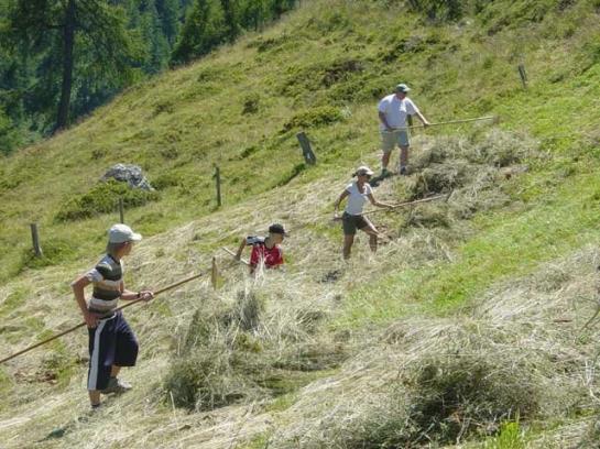 Bauernhof Elsenhof 15
