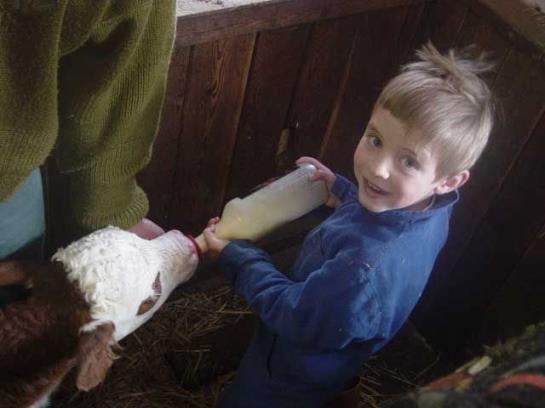 Bauernhof Elsenhof 20