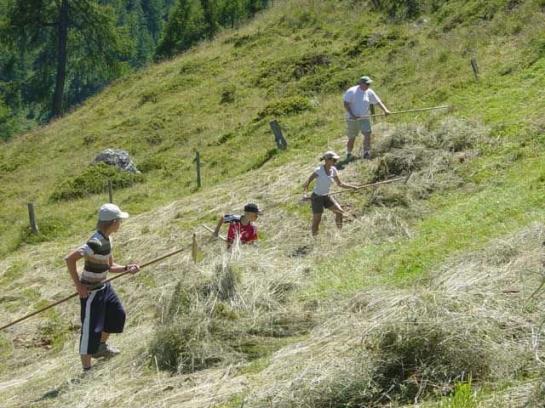 Bauernhof Elsenhof 5