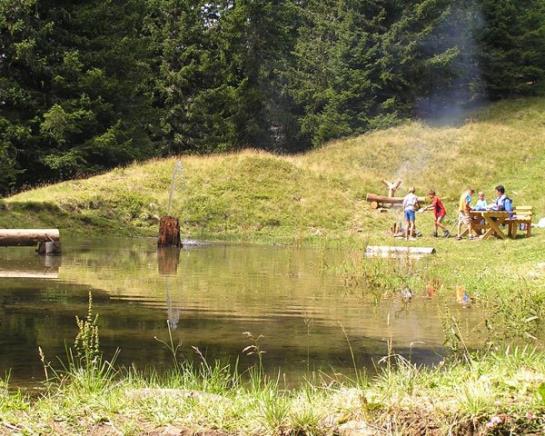 Bauernhof Elsenhof 6