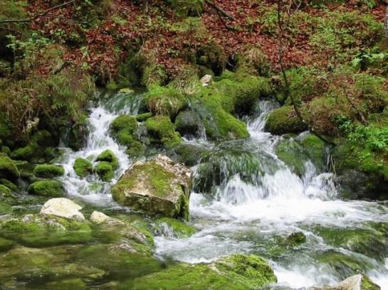 Bauernhof Simmerlhof 1