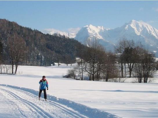Bauernhof Simmerlhof 17
