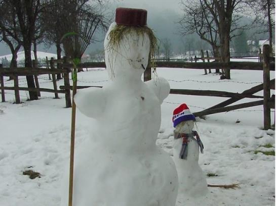 Bauernhof Simmerlhof 4