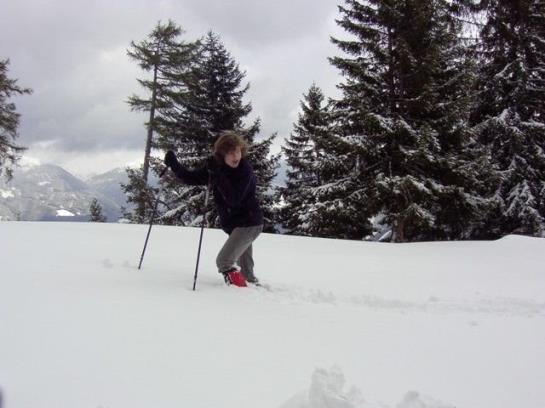 Bed and Breakfast Haus Danler Pension