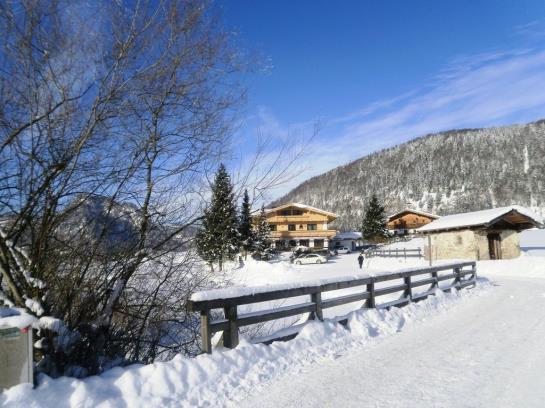 Pension (Hôtel basse catégorie) Gasthof Essbaum Direkt Am See