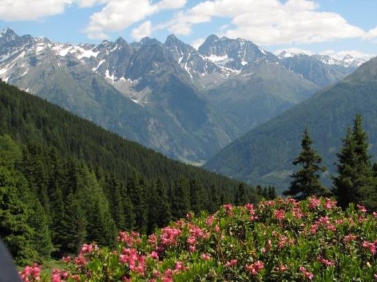 Hotel Haus Hochzeigerblick