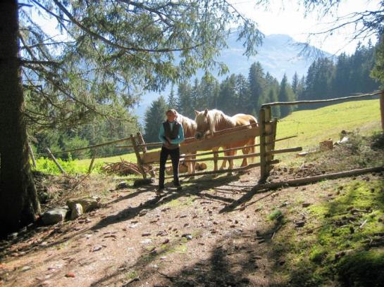 Bauernhof Landhaus Gasser