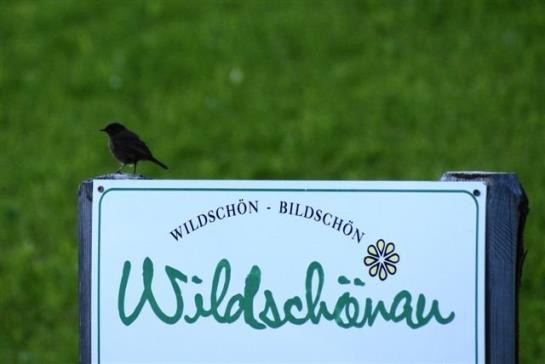 Pension Gradlspitz Gasthof