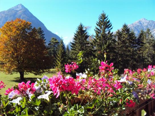 Apart Bergheim Pertisau