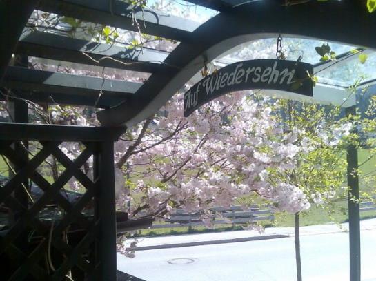 Bed & Breakfast Pension Steinbock