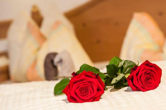 Bed & Breakfast Haus Aktiv Pension