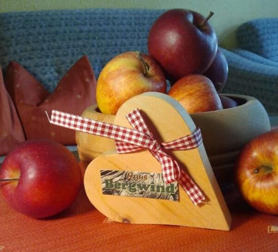 Hotel Haus Bergwind 1