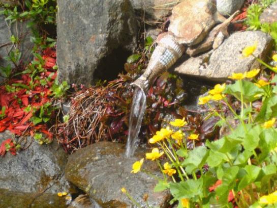 Hotel Haus Bergwind 10