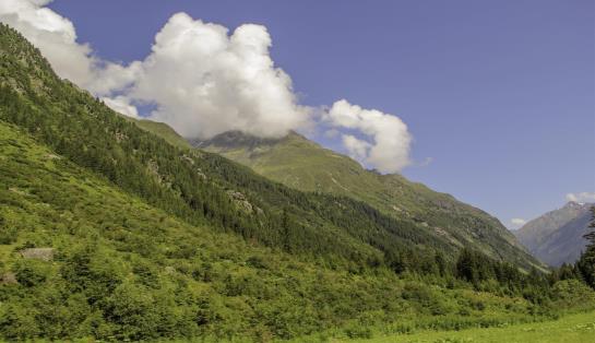 Hotel Bäckerei Schranz 1