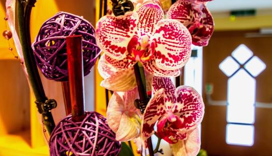 Hotel Pension Siggi Pension 10