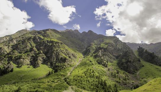 Hotel Pension Siggi Pension 13