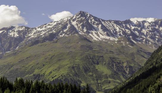 Hotel Pension Siggi Pension 14