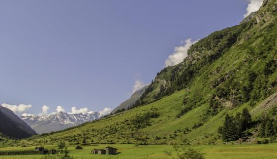 Hotel Pension Siggi Pension 5