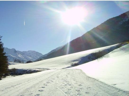 Hotel Ferienwohnung Höllrigl