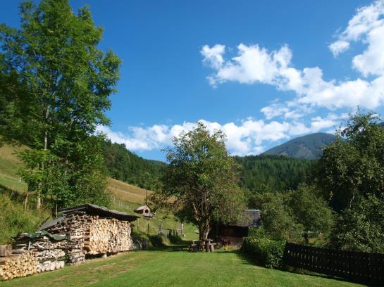 Naturhotel-pension Baeckerferdl 2