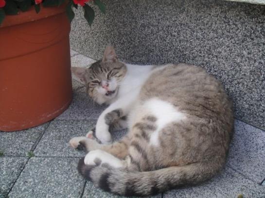 Bauernhof Bruderhof 10