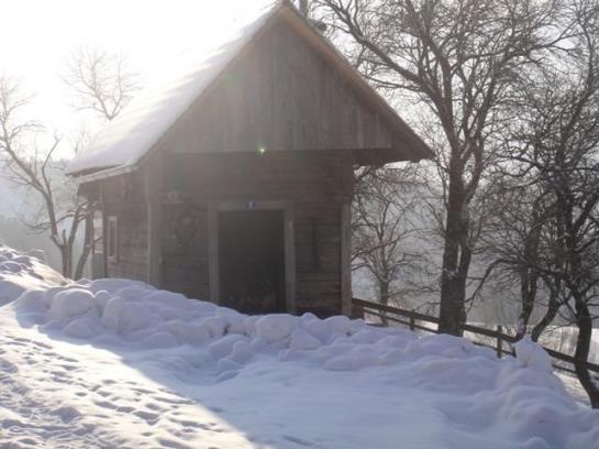 Bauernhof Bruderhof 13