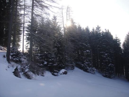 Bauernhof Bruderhof 17