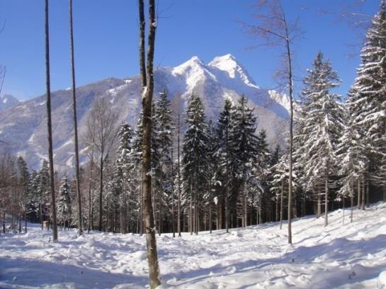 Bauernhof Bruderhof 2