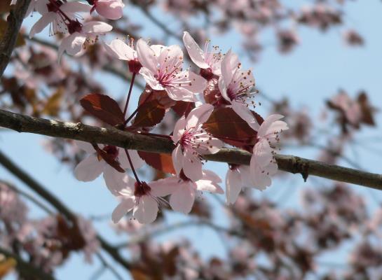 Hotel Steiermarkhof 6