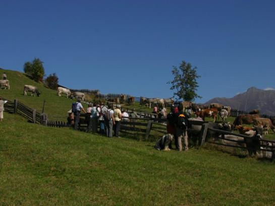 Hotel Am Johannesbrunnen