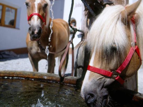 Hotel Am Johannesbrunnen 1