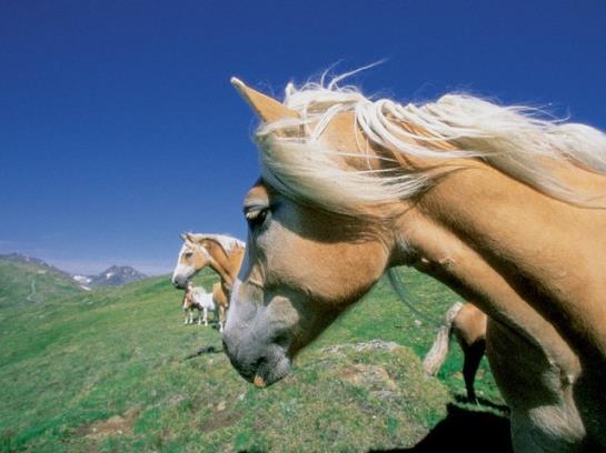 Hotel Am Johannesbrunnen 2