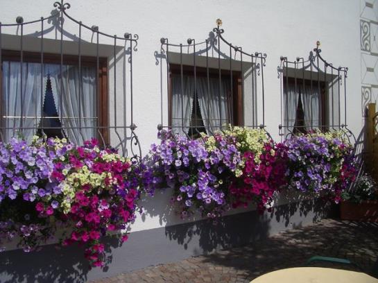 Hotel Am Johannesbrunnen 3