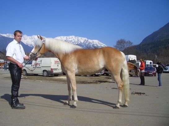 Hotel Am Johannesbrunnen 9