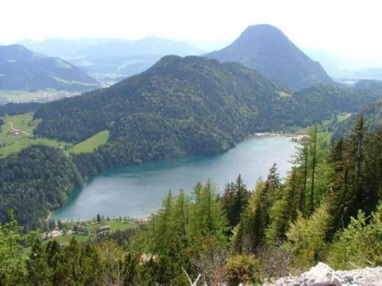 Hotel Goingstätthof