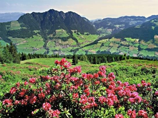 Bed & Breakfast Luxen Pension