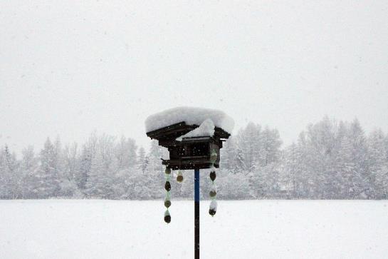 Bauernhof Dismas'n Hof 1