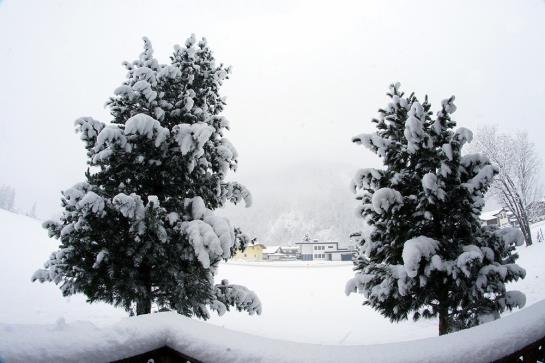 Bauernhof Dismas'n Hof 2