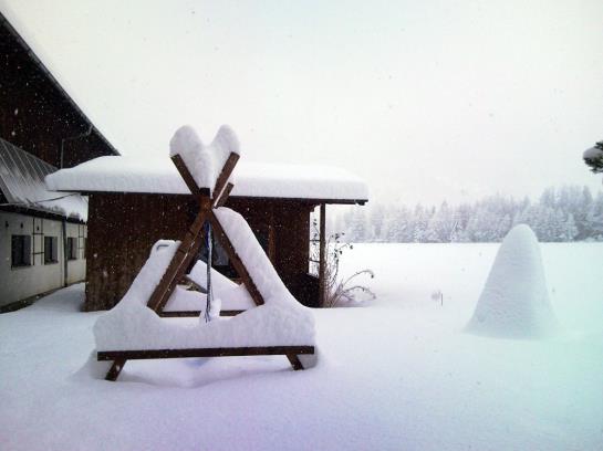 Bauernhof Dismas'n Hof 4