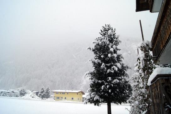 Bauernhof Dismas'n Hof 5