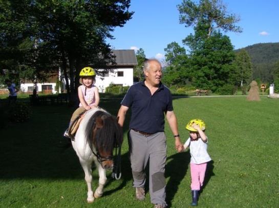 Bauernhof Liedlhof 1